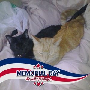 Meet your Posher, Judy